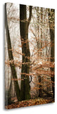"Bronze Tree" By Lars Van De Goor, Giclee Print on Gallery Wrap Canvas