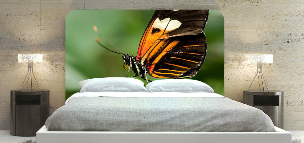 "Butterfly" Headboard