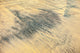 Sandprints Designer Series No.29, 12"x8"