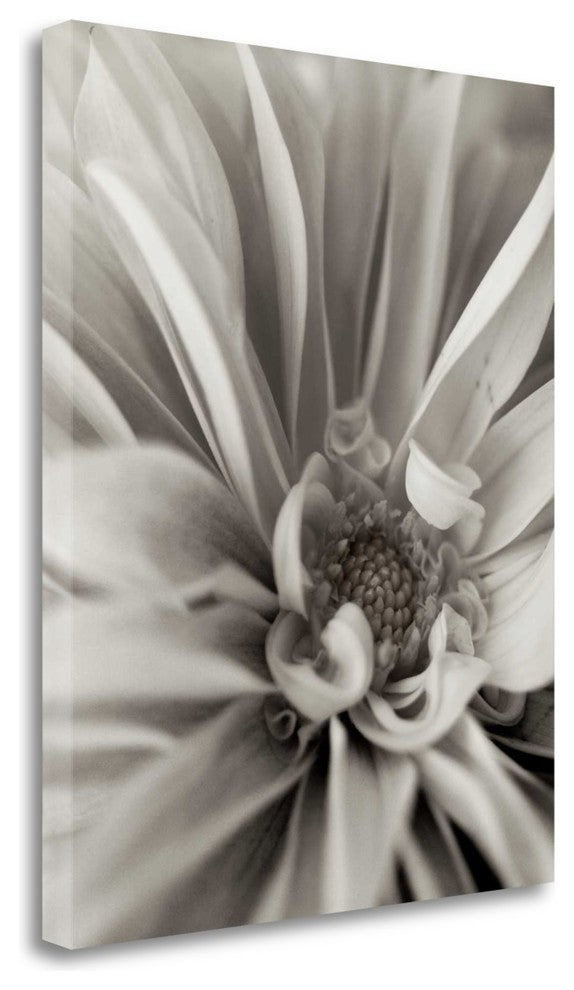 "Florison - 21" By Alan Blaustein, Giclee Print on Gallery Wrap Canvas