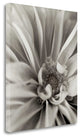 "Florison - 21" By Alan Blaustein, Giclee Print on Gallery Wrap Canvas
