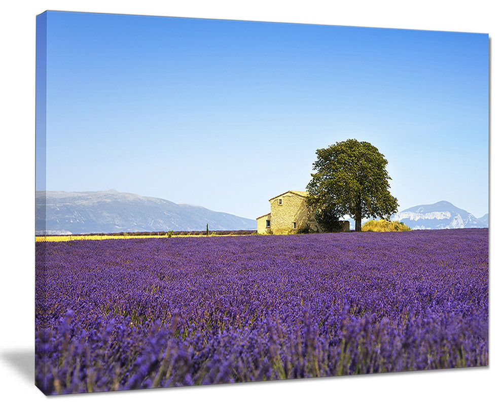 "Lavender Flowers Blooming Field" Landscape Wall Art Print, 40"x30"