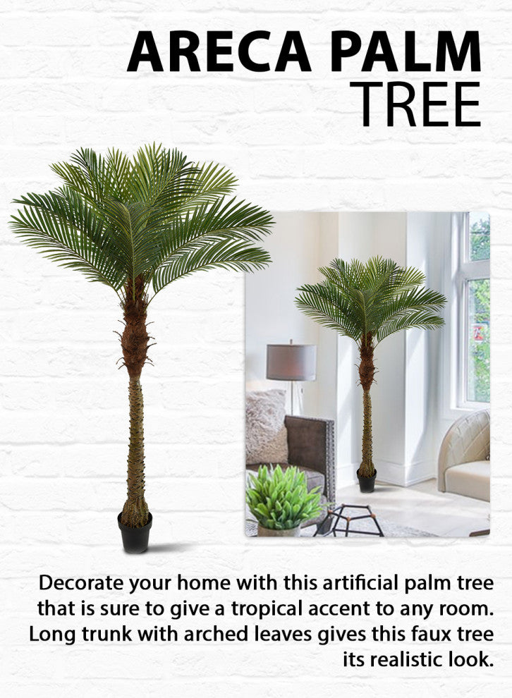 Serene Spaces Living Areca Palm Tree, 72"