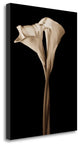 "The Embrace" By John Rehner, Giclee Print on Gallery Wrap Canvas, Ready to Hang