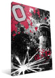 OHX Buckeyes Spirit Canvas Print, 16"x24"
