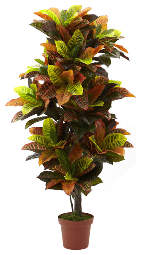 56" Croton Plant, Real Touch