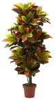 56" Croton Plant, Real Touch