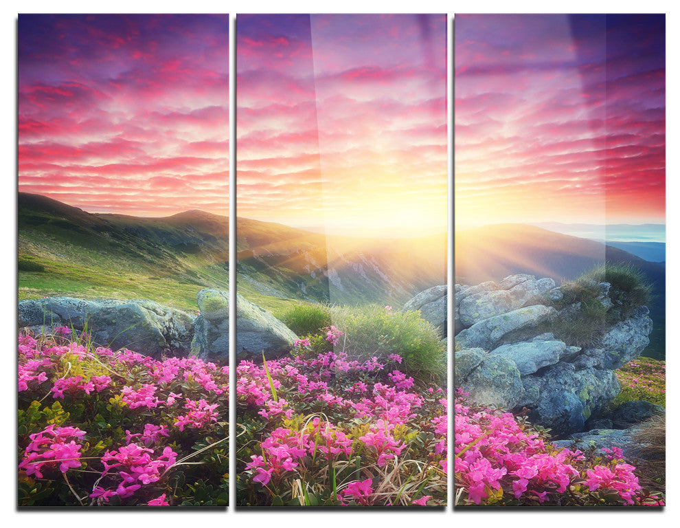 "Morning With Flowers in Mountains" Photo Metal Wall Art, 3 Panels, 36"x28"