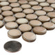 Hudson Penny Porcelain Mosaic Floor and Wall Tile, Truffle