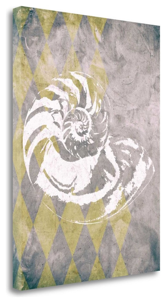 "Vintage Harlequin Shell 1" By Alicia Soave, Giclee Print on Gallery Wrap Canvas