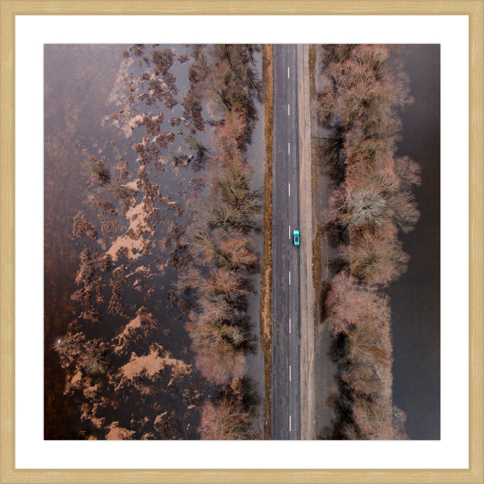 "Lone Car" Framed Print by Karolis Janulis