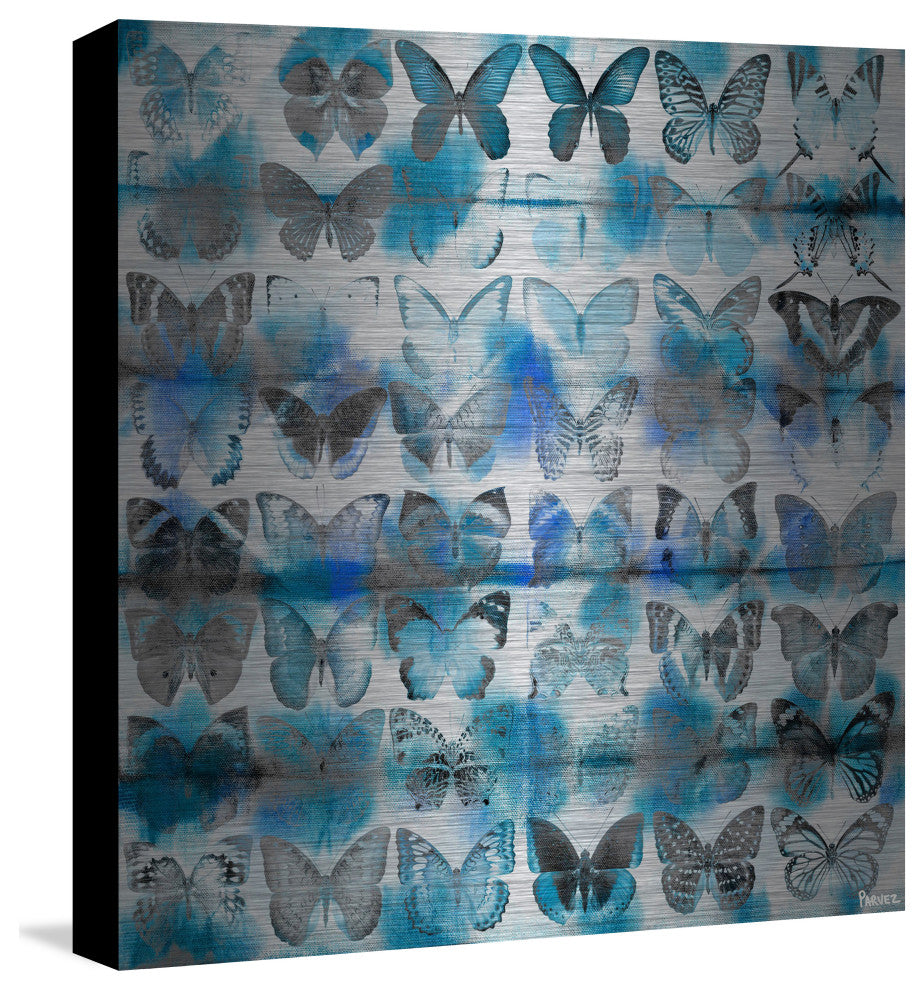 "Powder Blue Wings" UV Ink Print on Brushed  Aluminum, 40"x40"