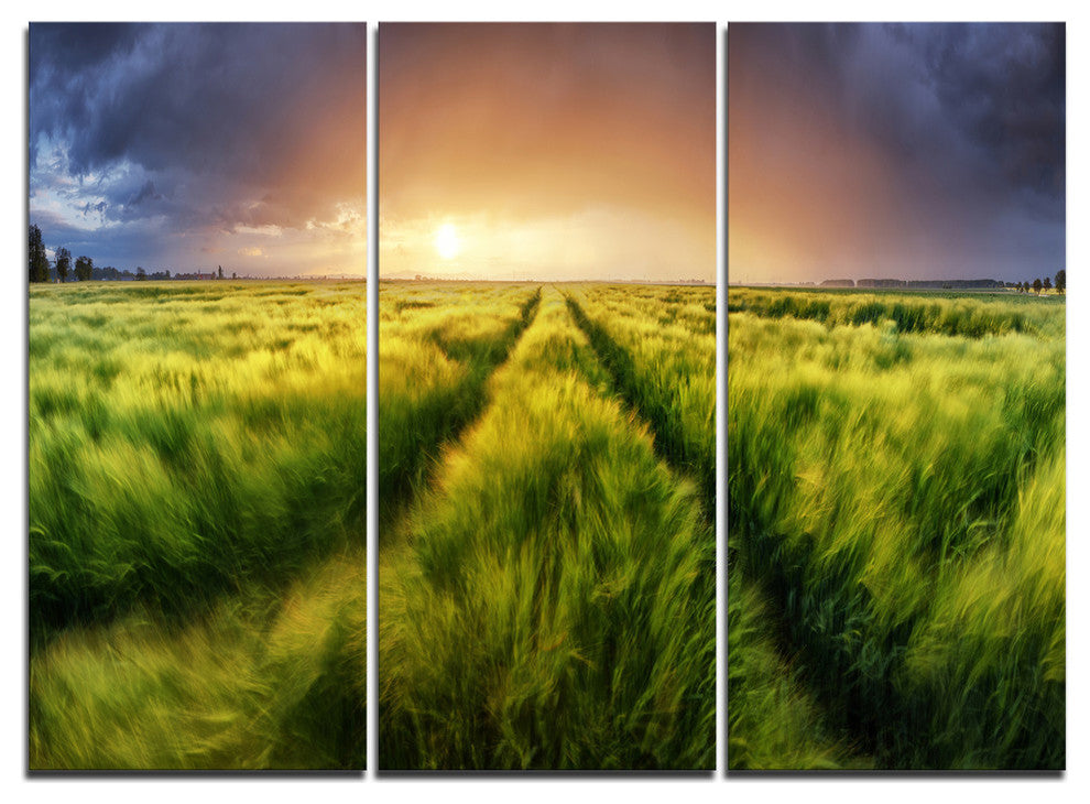"Storm and Light on Meadow" Metal Wall Art, 3 Panels, 36"x28"