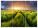 "Storm and Light on Meadow" Metal Wall Art, 3 Panels, 36"x28"