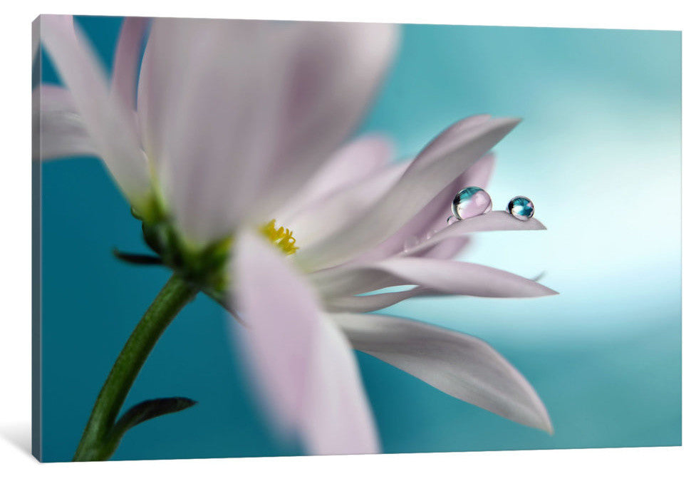 "In Turquoise Company" by Heidi Westum, 40x26x1.5