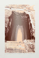 Cindy Wolsfeld "Let's Speak Of Worms, Graves, And Epitaphs" Silkscreen