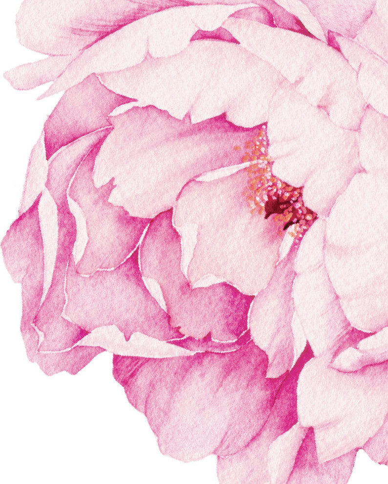 Peony Flowers Vinyl Wall Sticker, Vivid Pink