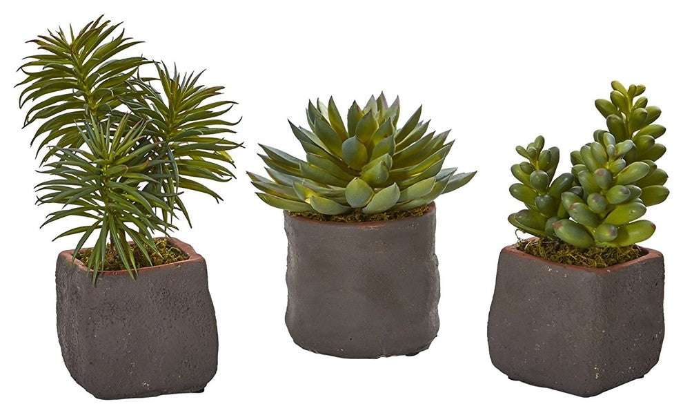 Mixed Succulent Trio Artificial Plant, 3-Piece Set