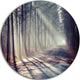 Morning Sunbeams To Forest Road, Landscape Disc Metal Wall Art, 36"