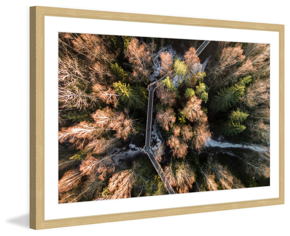 "Walkway Through Trees" Framed Print by Karolis Janulis