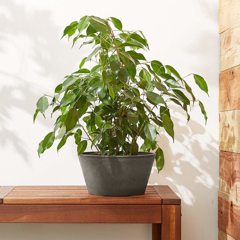 Sleek Bulb Pan, Dark Charcoal