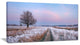 "Dry Oak Tree in Winter Panorama" Landscape Print Wall Art, 32"x16"