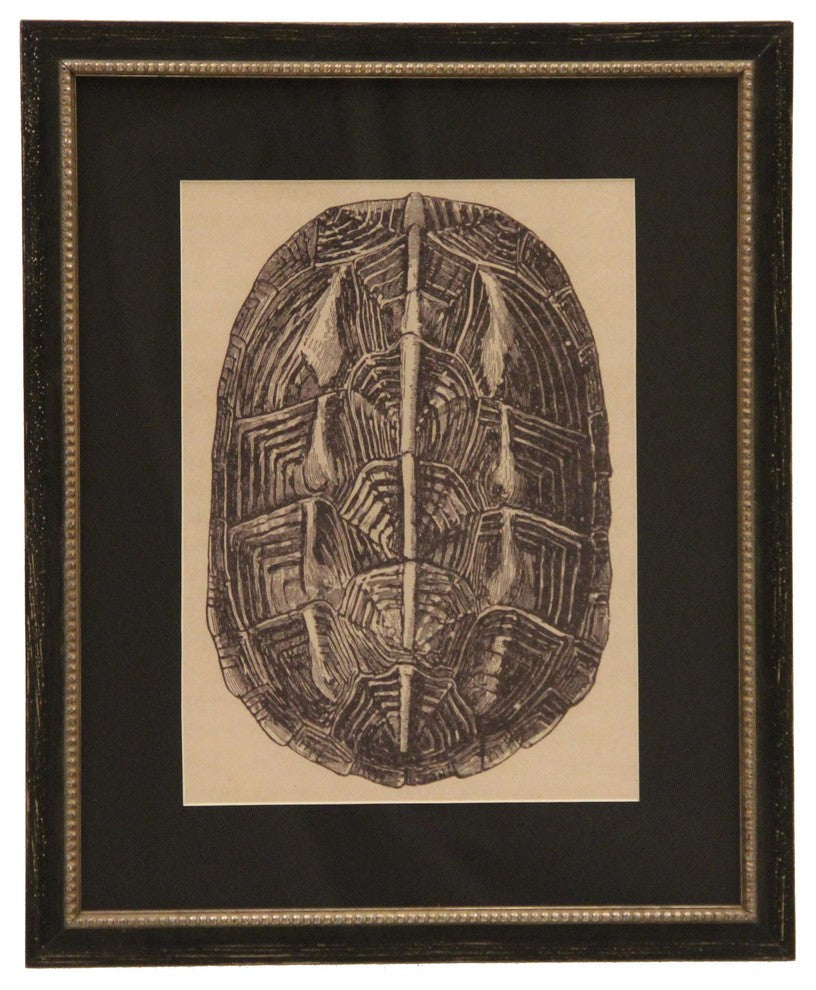 Black Matted Turtle Shell, Black Frame With Copper Bead