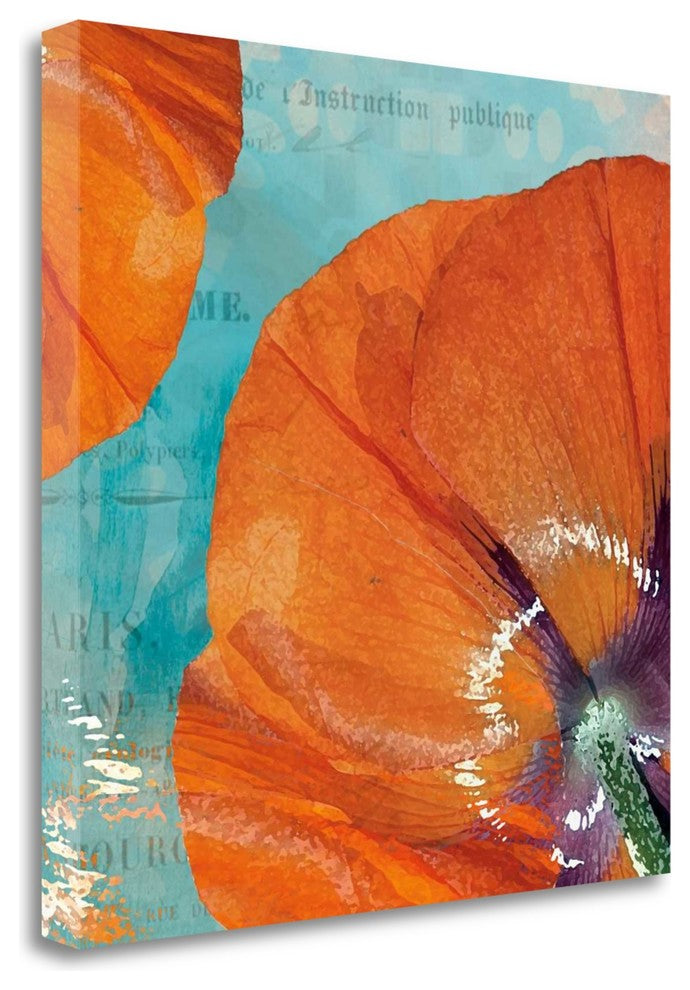 "Poppies In The Sky I" By Sabine Berg, Giclee Print on Gallery Wrap Canvas