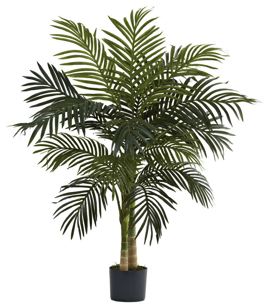 4' Golden Cane Palm Tree