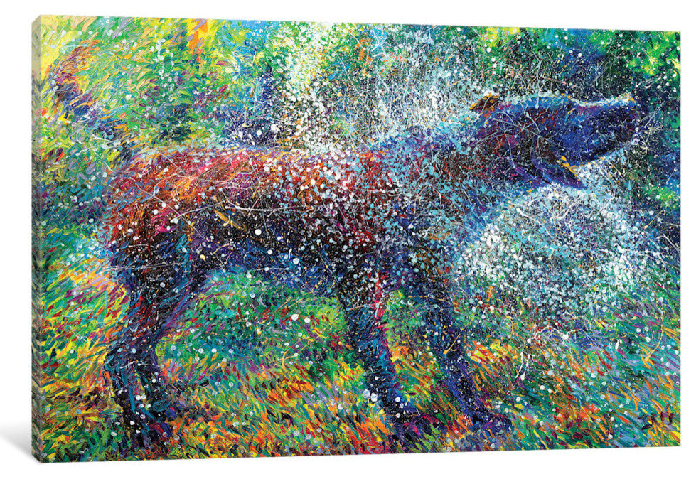 "Canis Major Gallery" by Iris Scott, 18"x12"x1.5"