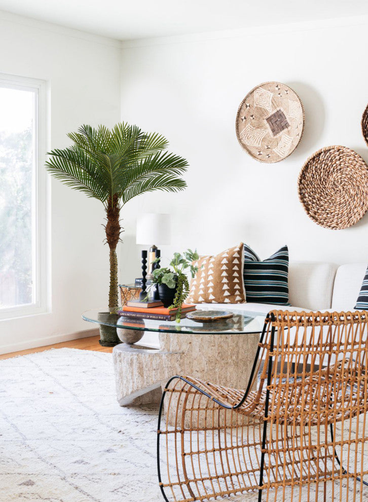 Serene Spaces Living Areca Palm Tree, 72"