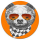 Funny Bear With Sunglasses, Animal Round Wall Art, 23"