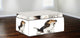 Beagle Howling, 4-Sided, Rectangular