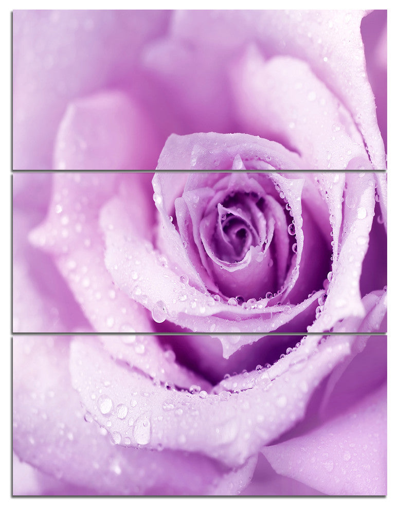 Purple Wet Rose Background, Flowers Canvas Wall Artwork, 28x36, 3 Panels