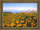 Johanne Louise Frimodt a Field of Buttercups by the Coast Canvas Print, 18"x27"