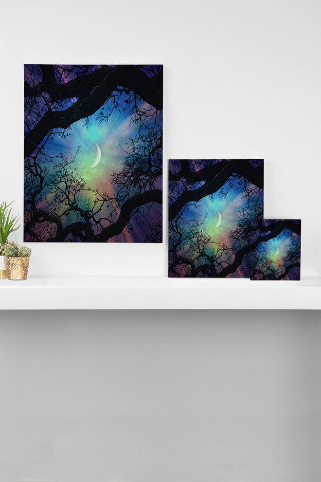 Deny Designs Shannon Clark Fairytale Art Canvas