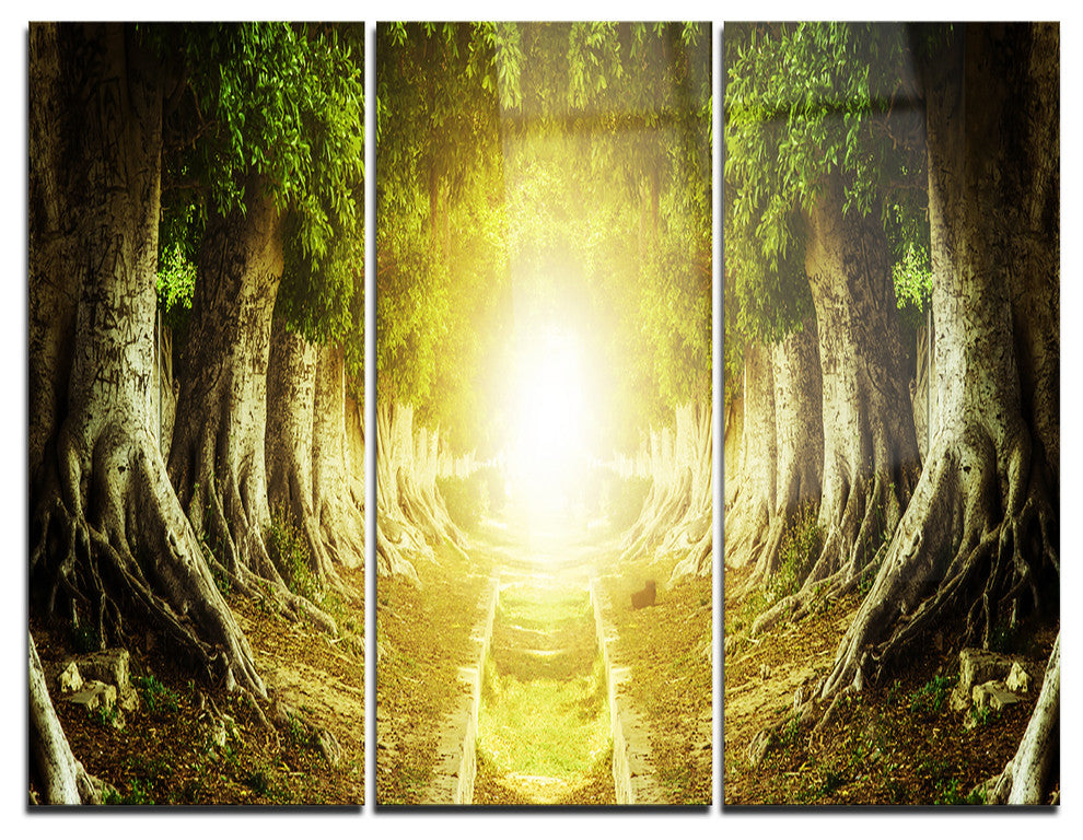 "Green Tree Tunnel" Photo Metal Wall Art, 3 Panels, 36"x28"