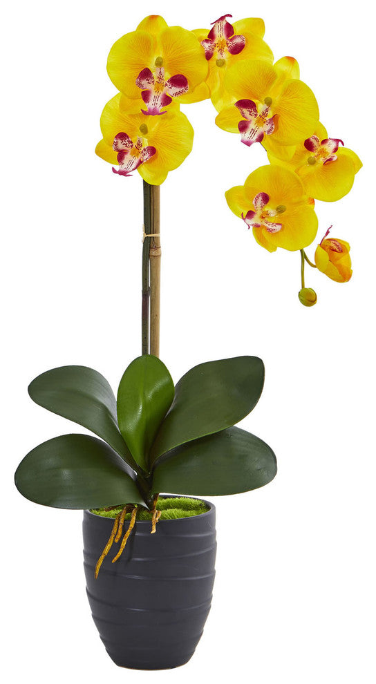 Phalaenopsis Orchid Artificial Arrangement, Black Vase, Yellow