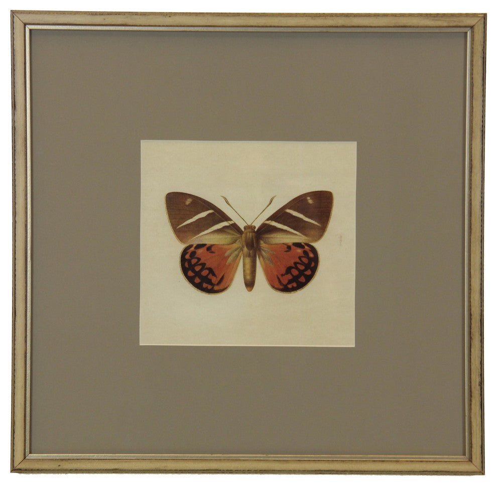 Matted Single Butterfly Print