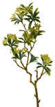 21" Flower Bud Spray, Set of 3, Green