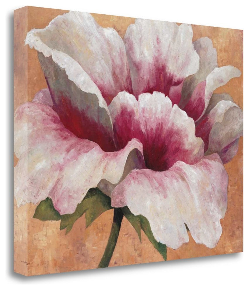 "Pink Begonia" By Maria Torrontegui, Giclee Print on Gallery Wrap Canvas