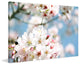 "Dreaming of Spring" Painting Print on Canvas by Irena Orlov