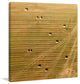 "Tractor Trails" Print on Canvas by Karolis Janulis