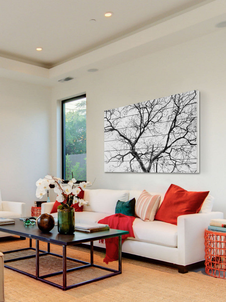 "Black Branches" Print on White Wood, 60"x40"