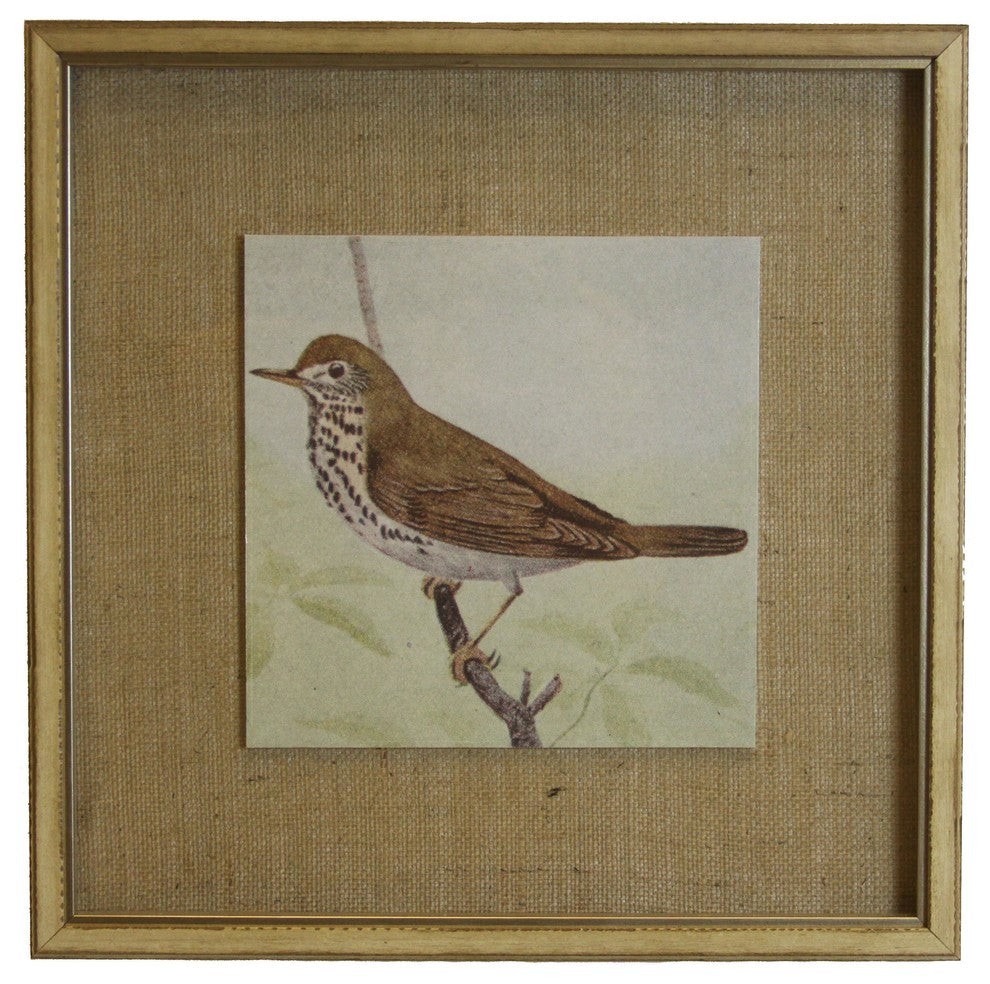 Single Brown Spotted Bird On Burlap