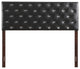 Novo 2 Headboard, Black, Queen
