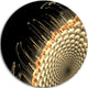 Brown Fractal Flower Pattern, Floral Digital Disc Metal Wall Art, 23"