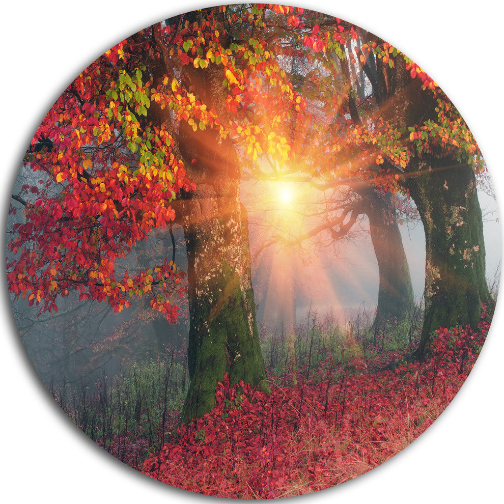 Yellow Sun In Red Autumn Forest, Landscape Photo Disc Metal Art, 38"