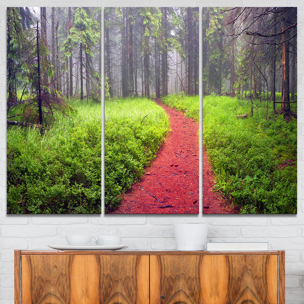 "Desert Footpath to Misty Forest" Photo Wall Art, 3 Panels, 36"x28"