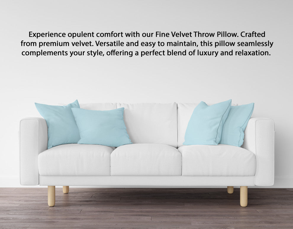 A1HC Soft Velvet Pillow Covers, YKK Zipper, Set of 2, Light Blue, 22"x22"